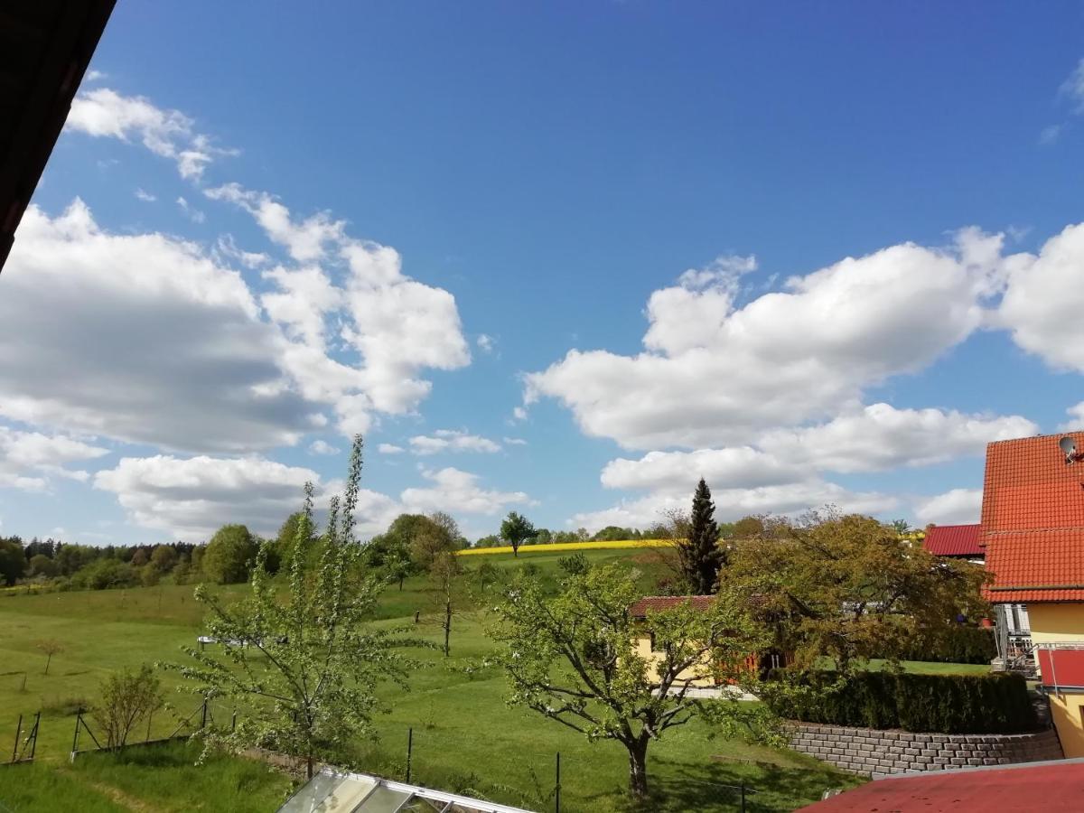 Waldfenster Pension Schmitt מראה חיצוני תמונה
