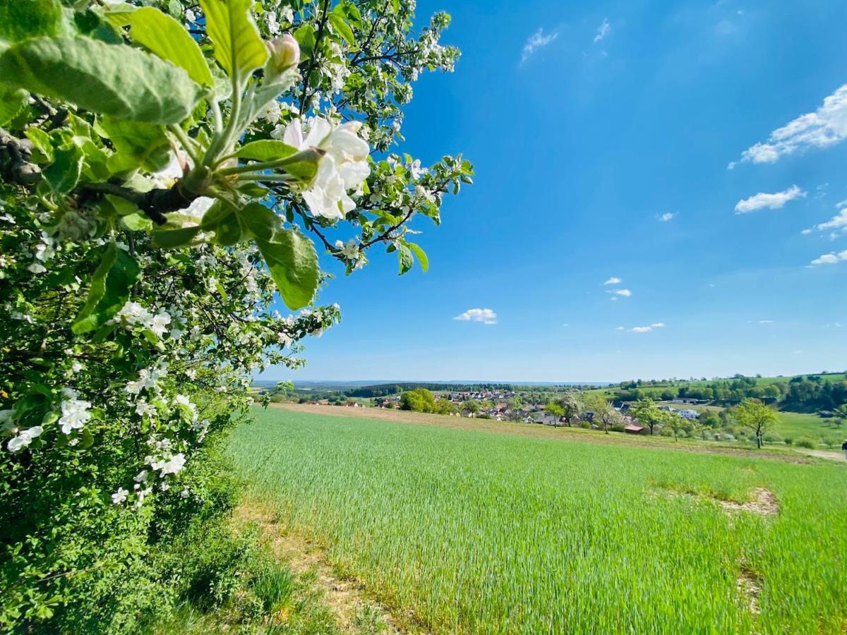 Waldfenster Pension Schmitt מראה חיצוני תמונה